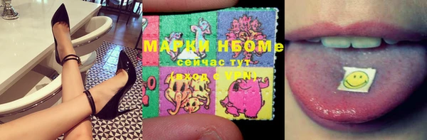 МДПВ Нея