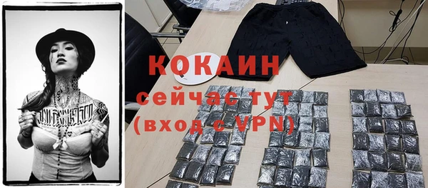 МДПВ Нея