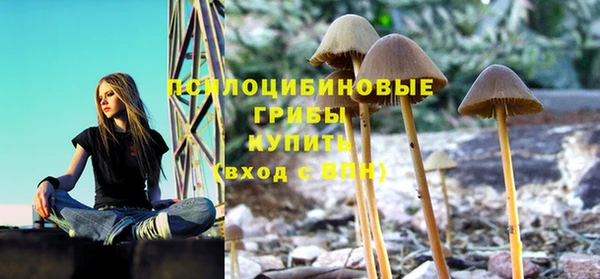 ПСИЛОЦИБИНОВЫЕ ГРИБЫ Нефтекумск