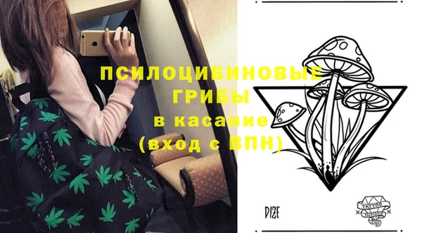 мет Надым