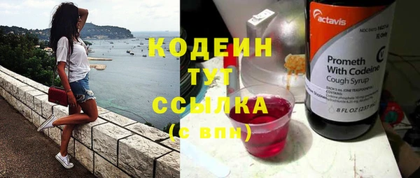 МДПВ Нея
