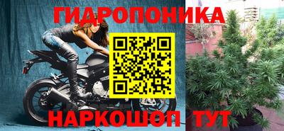 тгк Аргун