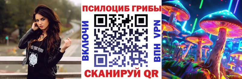 Псилоцибиновые грибы Cubensis Волгоград