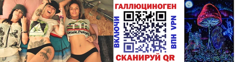 блэк спрут зеркало  Волгоград  Галлюциногенные грибы Psilocybe 
