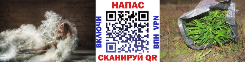 купить   Волгоград  ОМГ ОМГ как войти  МАРИХУАНА White Widow 